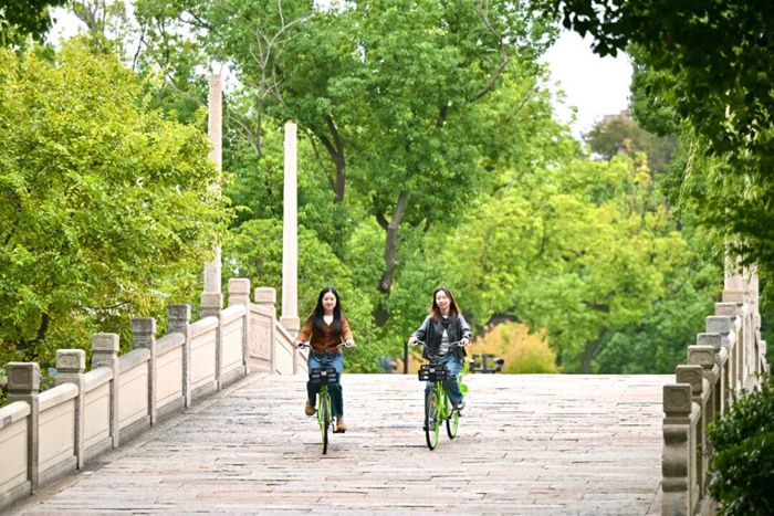 图片5.jpg 图片5.jpg