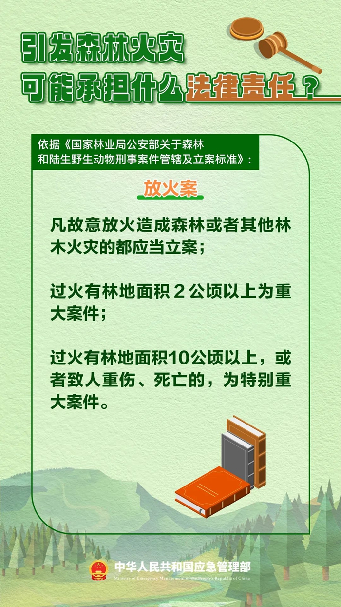 森林图片2.jpg