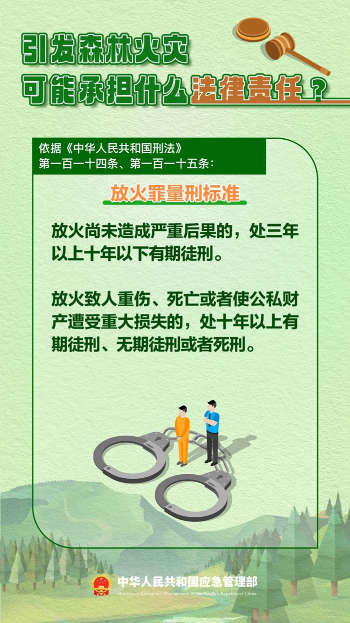 森林图片4.jpg