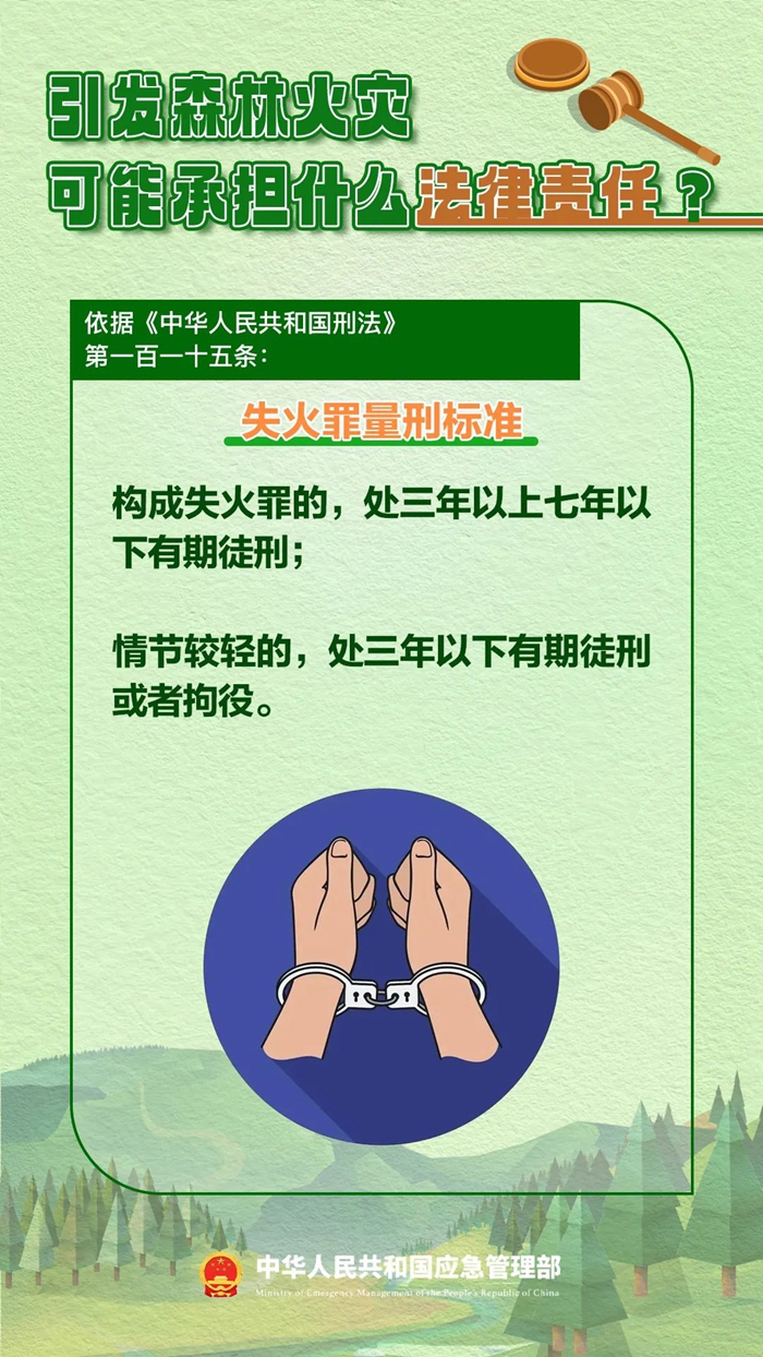 森林图片5.jpg