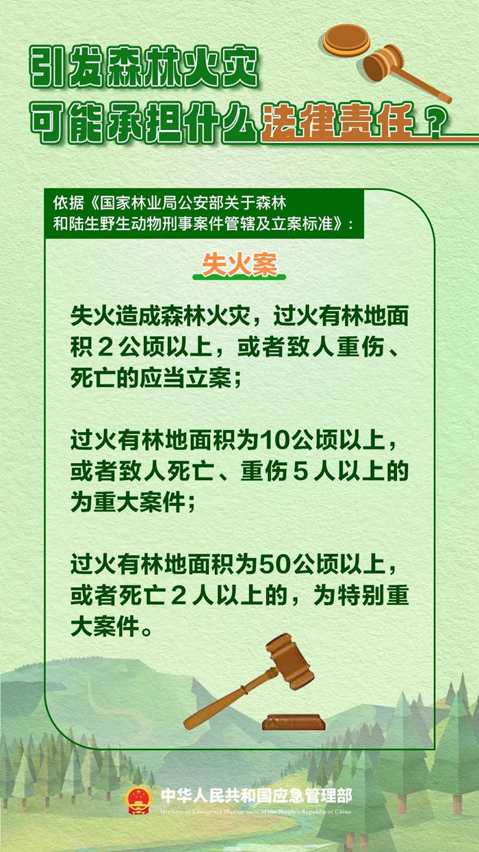 森林图片3.jpg