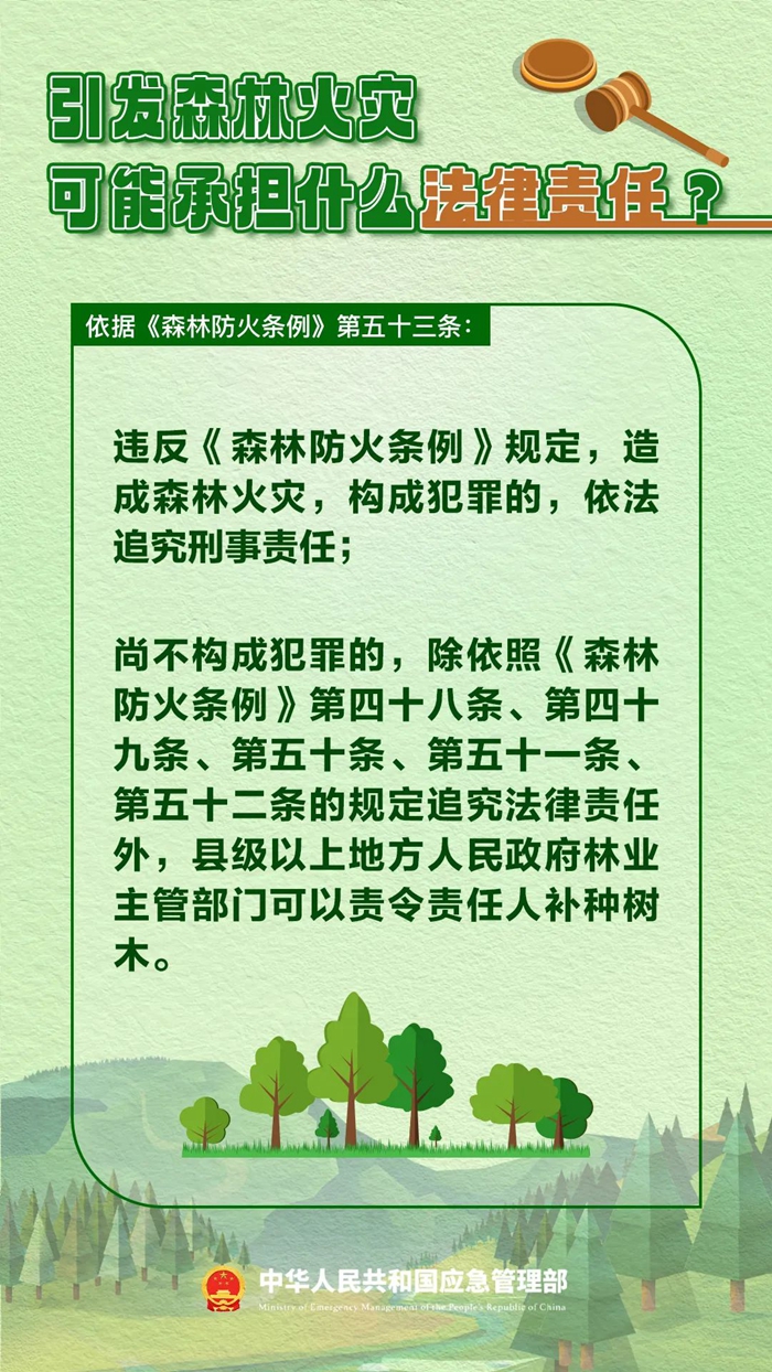 森林图片1.jpg